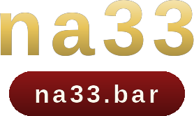 na33 logo